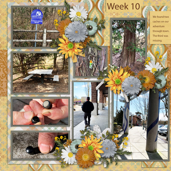 Week 10 of 52