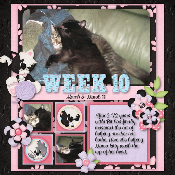 Week 10
