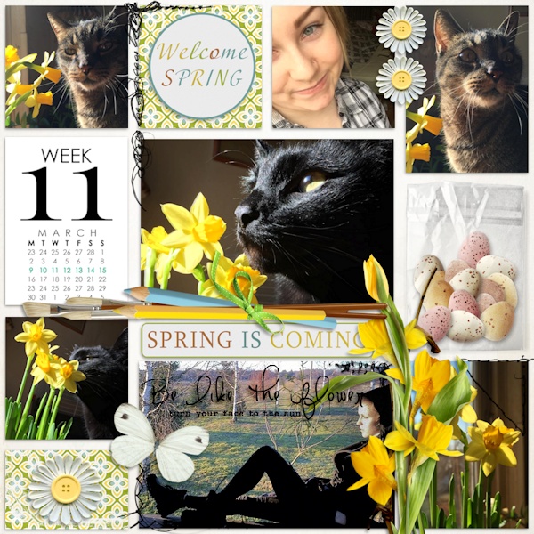 Week 11 2015