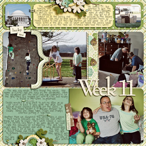 Week 11 (March 11 - 17)