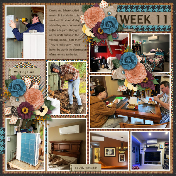 Week 11 of 52