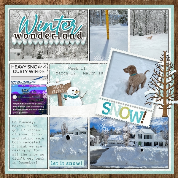 Week 11: Winter Wonderland
