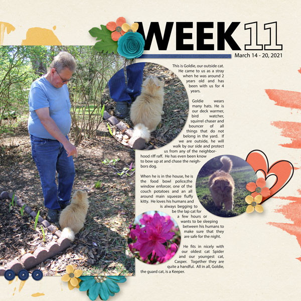 Week 11