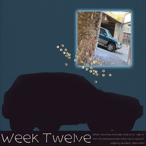 Week 12: Freedom!