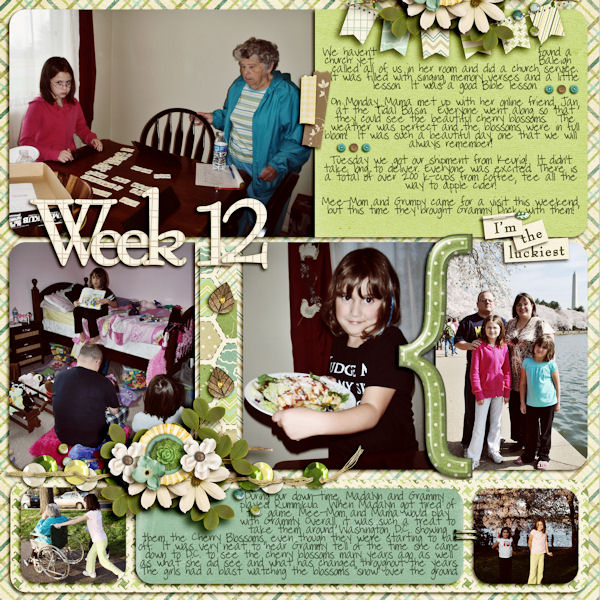 Week 12 (March 18 -24)