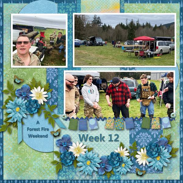 Week 12 of 52
