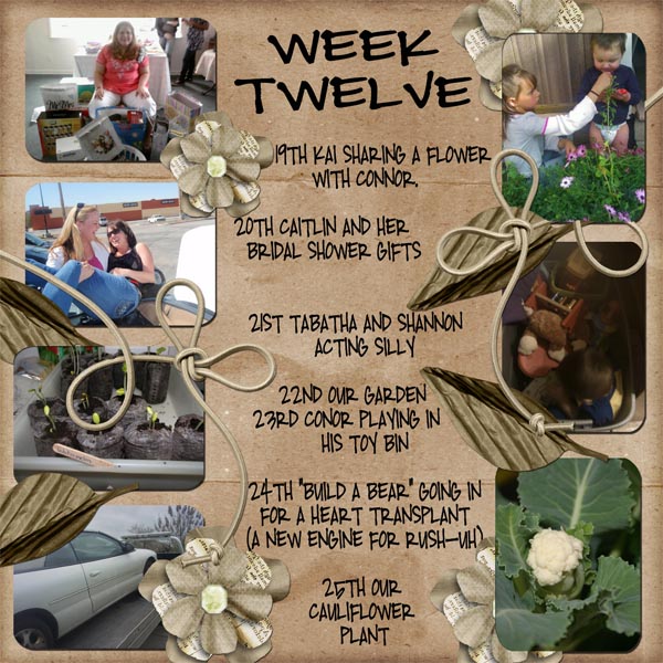 Week 12