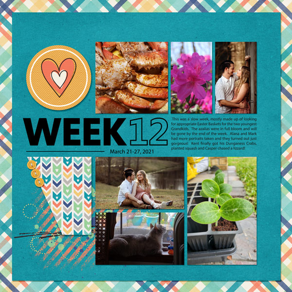 Week 12