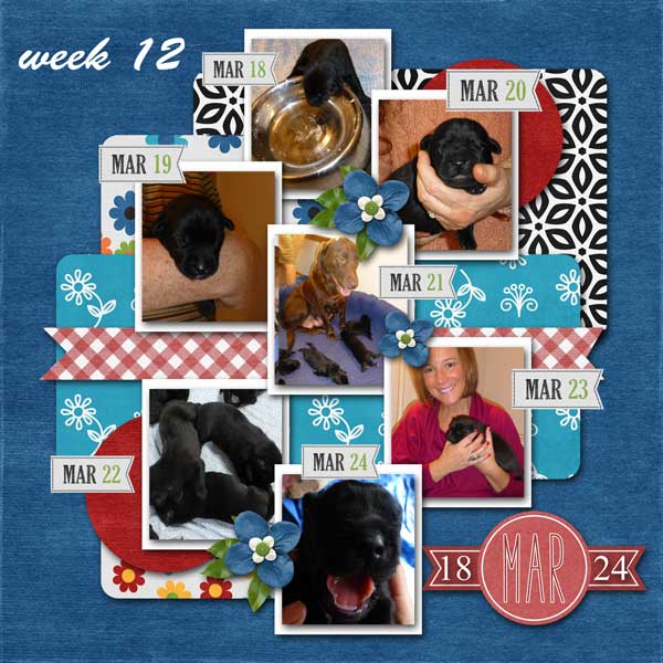 week-12_-2013
