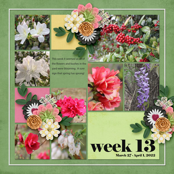 Week 13