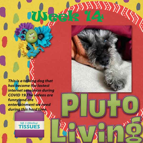 Week 14 - Pluto Living