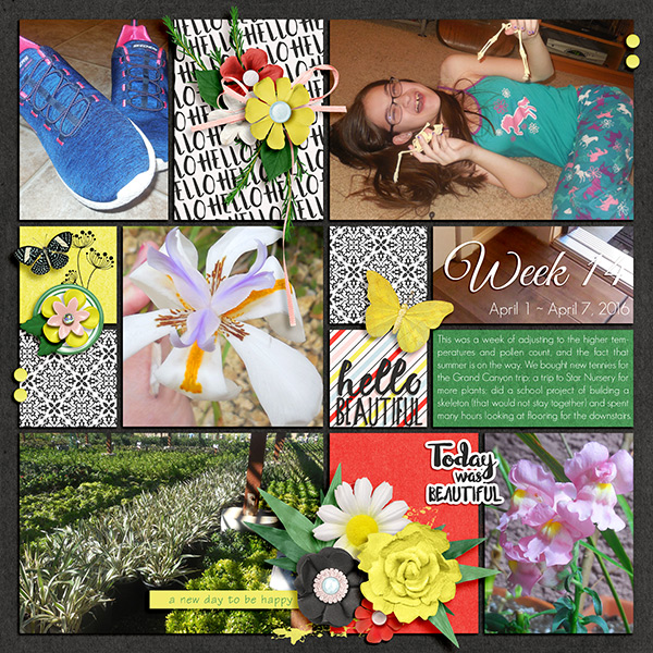 Week 14 - Project 52
