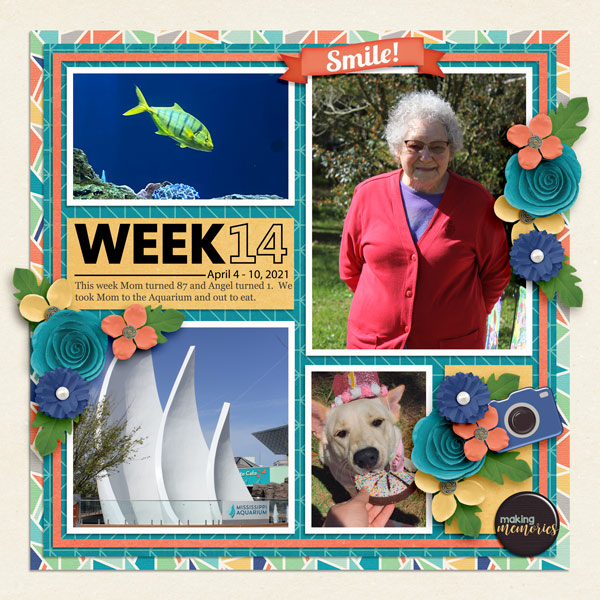 Week 14