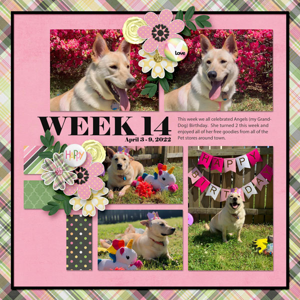 Week 14