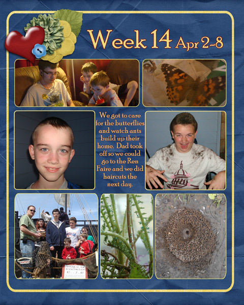 week 14