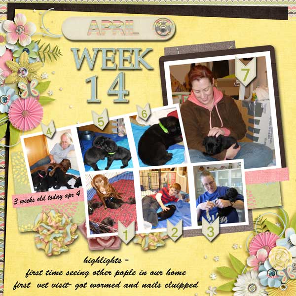 week-14_-2013