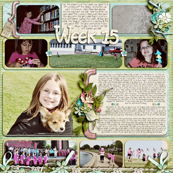 Week 15 (April 8 - April 14)
