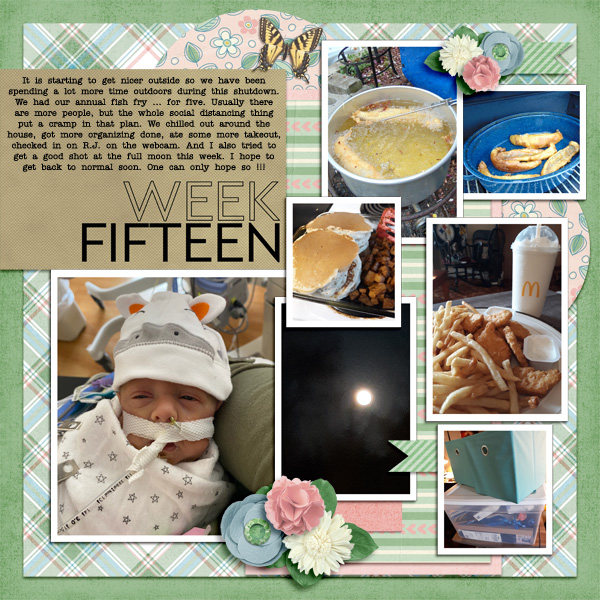 Week 15