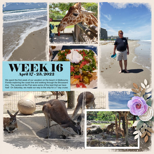 Week 16 2022