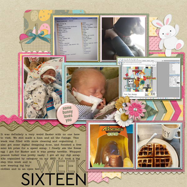 Week 16