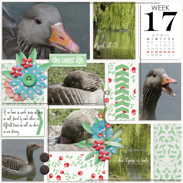 Week 17 2015