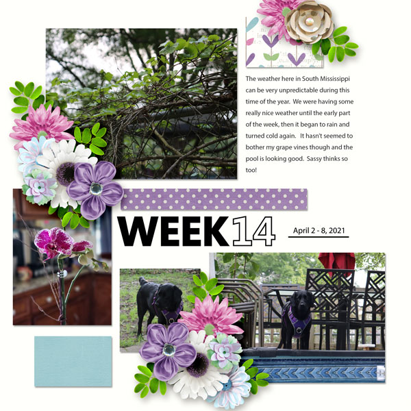 Week 17