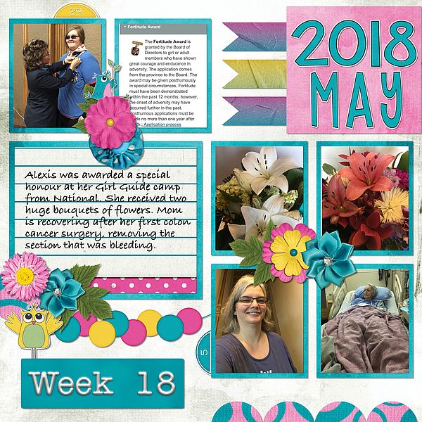 Week 18 May 2018
