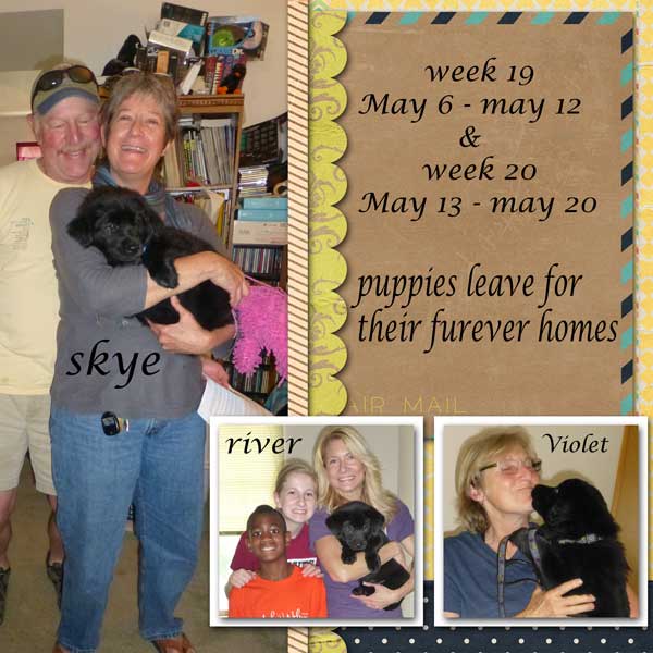 week 19-20