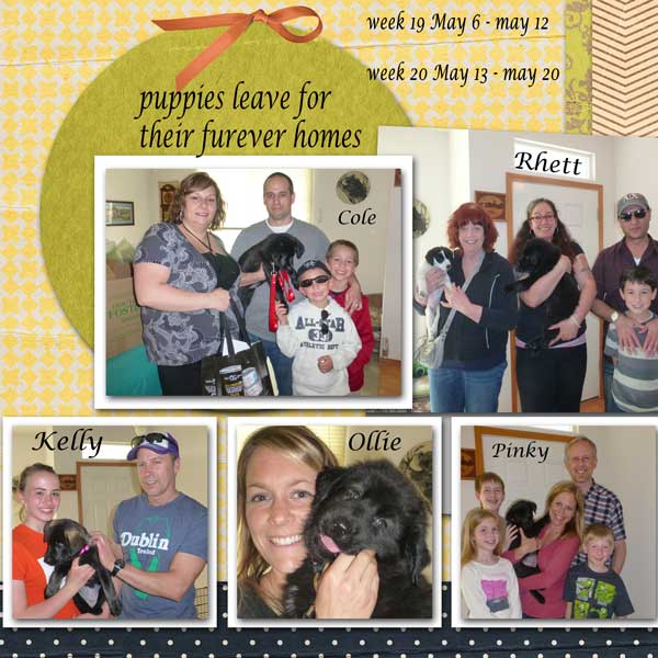 week 19-20