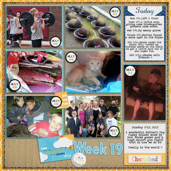 Week 19, 2013