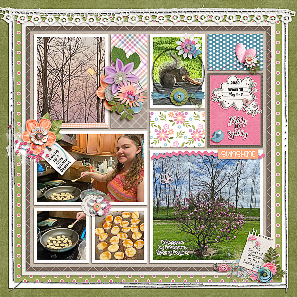 Week 19 Focus on Spring