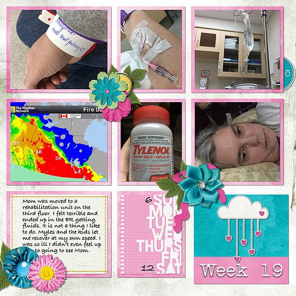 Week 19 May 6 to 12 2018