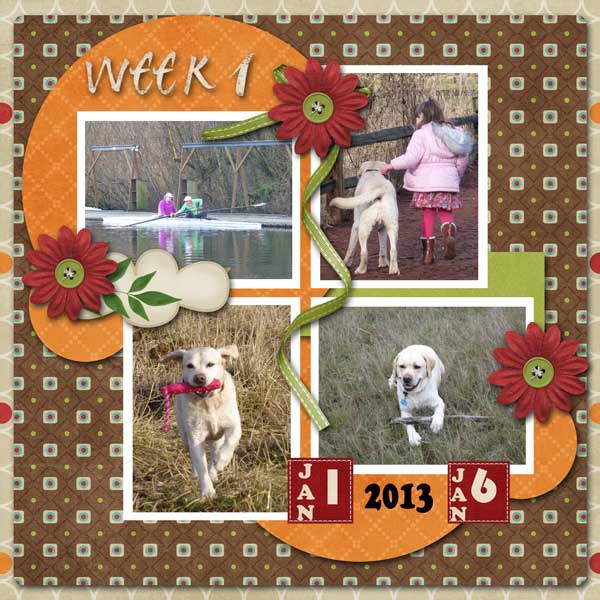 week-1_-2013