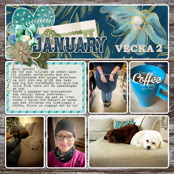 Week 2-2018