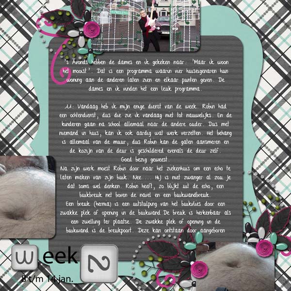 week 2-4