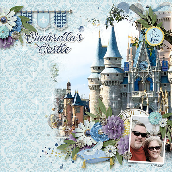 Week 2 ~ Cinderellas Castle