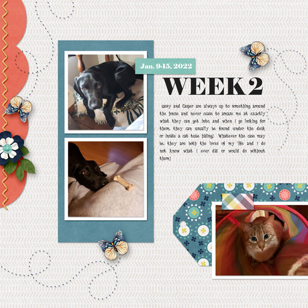 Week 2