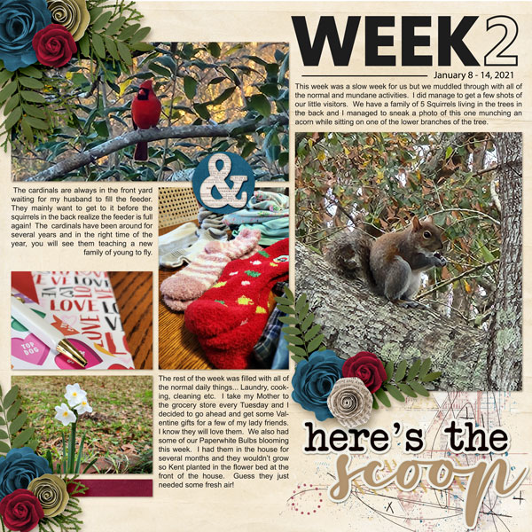 Week 2