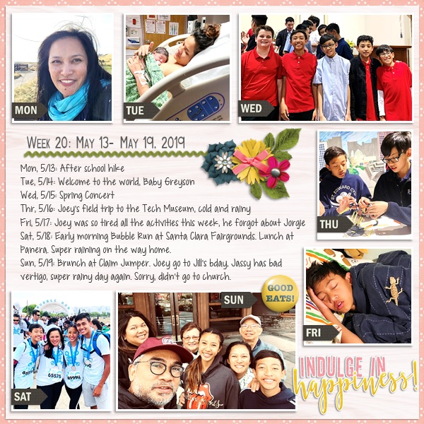 Week 20 {2019}