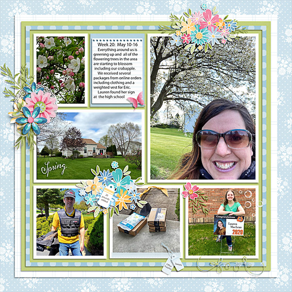 Week 20 of 2020:  May 10-16