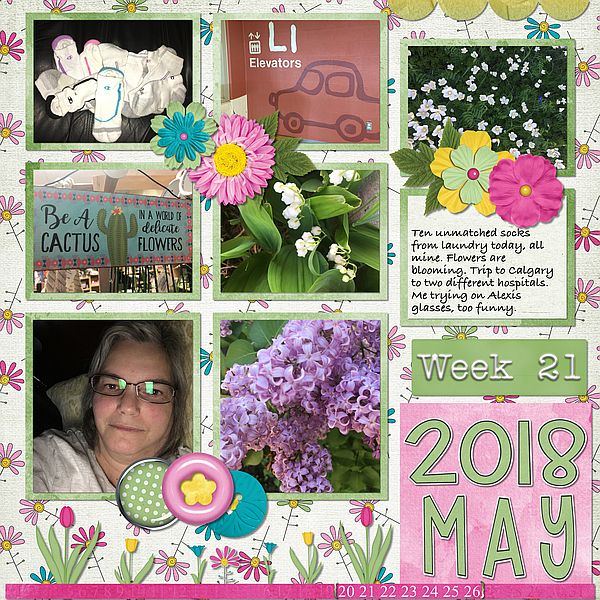 Week 21 May 20 to 26 2018