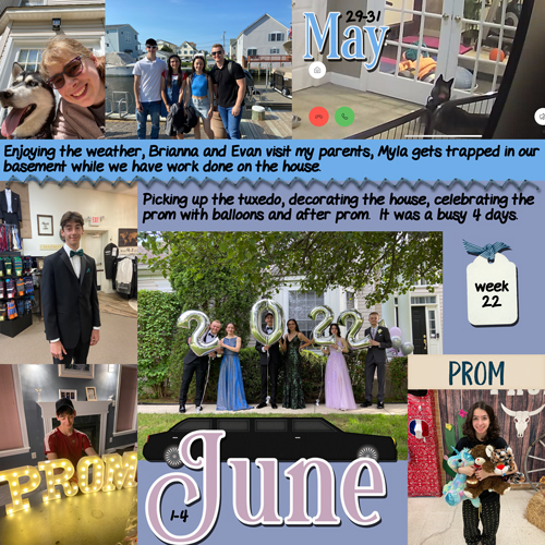 Week 22 May 29-June 4