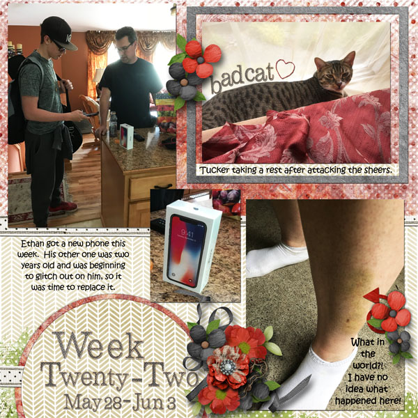 Week 22 of 52 Weeks