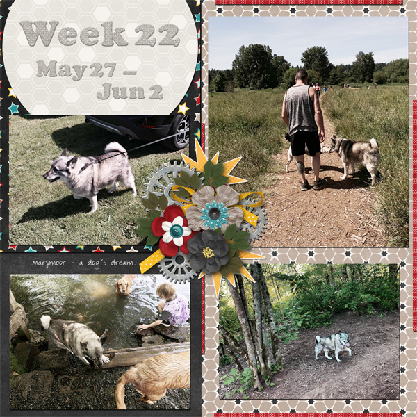 Week 22 of 52