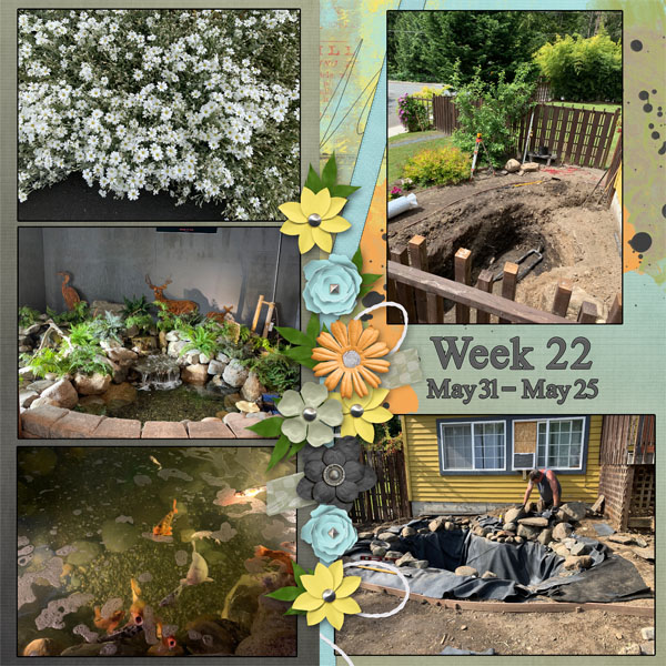 Week 22 of 52