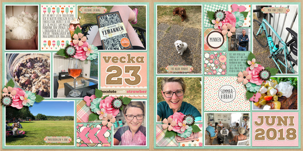 Week 23 2018