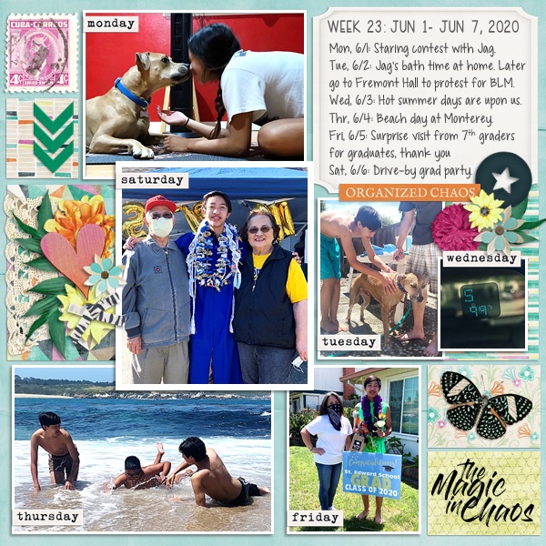 Week 23 {2020}