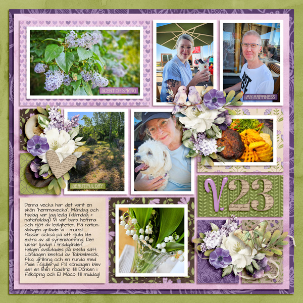 Week 23 2023
