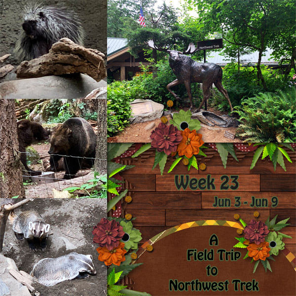 Week 23 of 52