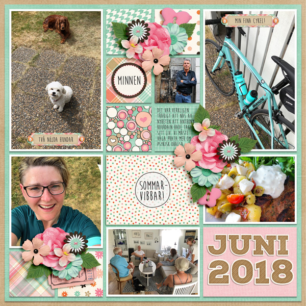 Week 23- right 2018